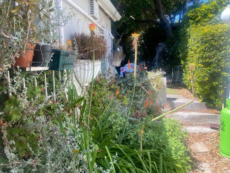 2 Bedroom Property for Sale in Observatory Western Cape